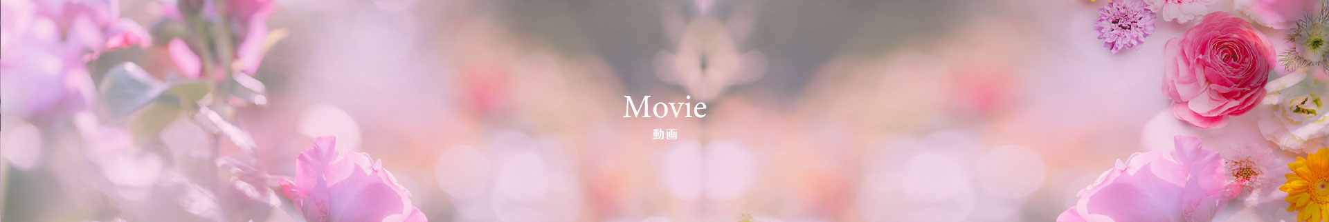 ムービー